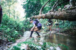 BIB: 
                            <button type="button" onclick="openModal(25441704)" class="btn btn-primary btn-sm float-right btn-popup" data-toggle="modal" data-target=".modal-high-quality">
                        <i class="fas fa-shopping-cart"></i> Add to Cart
                    </button>
                                            <button type="button" onclick="isThisMe(25441704, true)" class="btn btn-success btn-sm float-right btn-popup btn-isme hidden" data-toggle="tooltip" data-placement="bottom" title="นี่คือรูปของคุณใช่ไหม คลิกที่นี่เพื่อเอาเข้าอัลบั้ม">
                        <i class="fas fa-plus"></i> Add to album
                    </button>
                    <button type="button" onclick="isThisMe(25441704, false)" class="btn btn-warning btn-sm float-right btn-popup btn-isnotme hidden">
                        <i class="fas fa-ban"></i> Remove from album
                    </button>